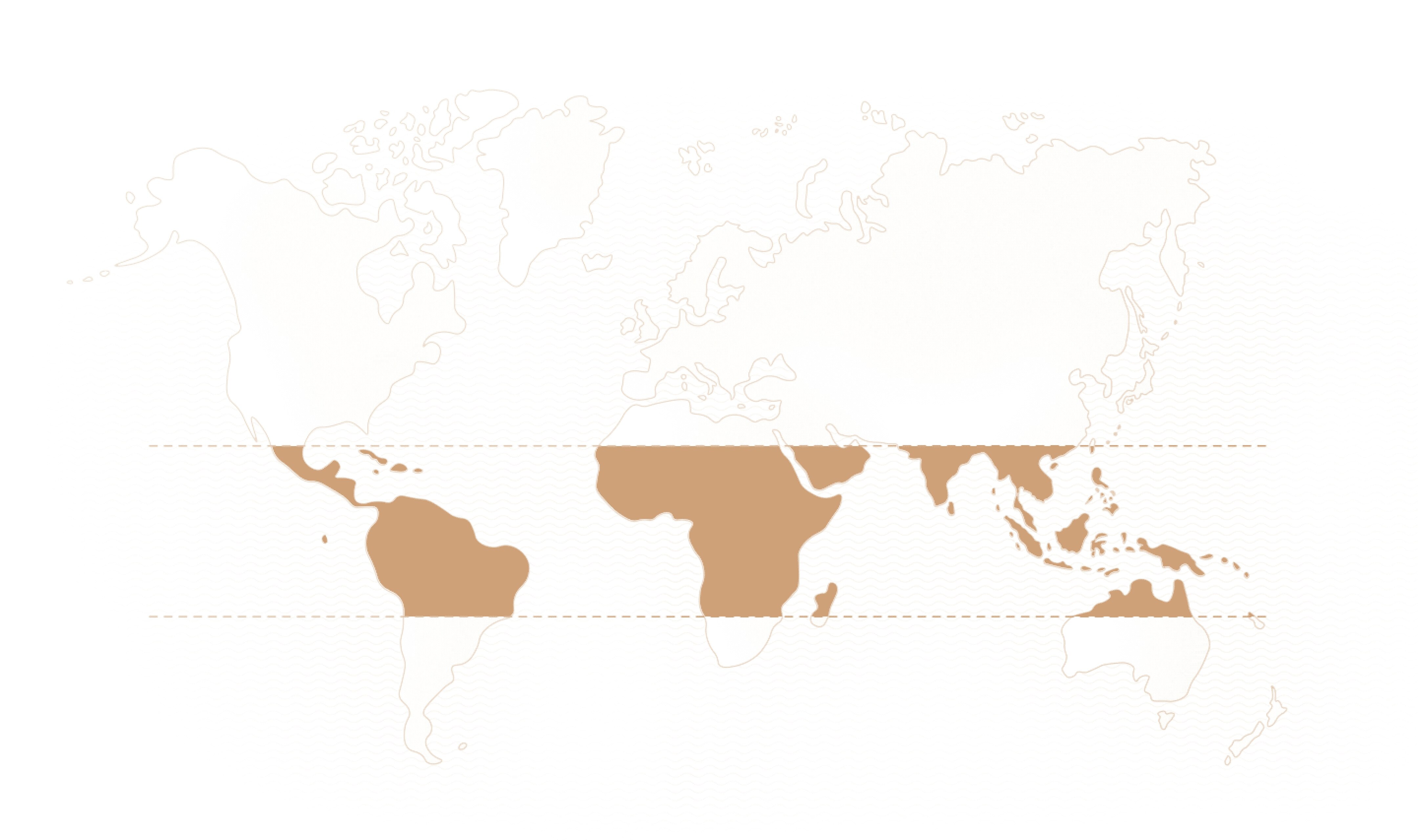 World map brown