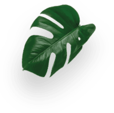 KitKat &reg; Hot Cocoa decoration Image